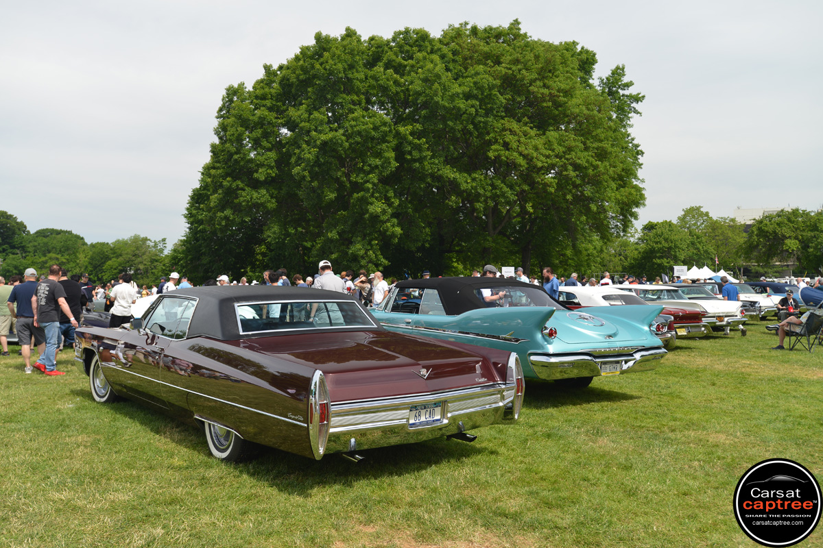 D8E_5721 copy.jpg